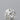 0.22ct Round Natural Diamond (Colour F, Clarity VVS2, Cut EX, IGI Certified)