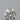 0.22ct Round Natural Diamond (Colour G, Clarity VVS2, Cut EX, IGI Certified)
