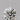 0.23ct Round Natural Diamond (Colour G, Clarity VS1, Cut EX, IGI Certified)