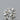 0.25ct Round Natural Diamond (Colour H, Clarity IF, Cut EX, IGI Certified)