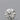 0.27ct Round Natural Diamond (Colour H, Clarity IF, Cut EX, GIA Certified)