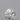 0.27ct Round Natural Diamond (Colour H, Clarity VVS1, Cut EX, GIA Certified)