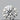 0.30ct Round Natural Diamond (Colour F, Clarity IF, Cut EX, GIA Certified)