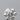 0.30ct Round Natural Diamond (Colour F, Clarity IF, Cut EX, IGI Certified)