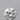 0.30ct Round Natural Diamond (Colour F, Clarity VVS1, Cut VG, IGI Certified)