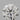 0.30ct Round Natural Diamond (Colour F, Clarity VVS2, Cut EX, GIA Certified)