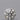 0.30ct Round Natural Diamond (Colour F, Clarity VVS2, Cut EX, IGI Certified)