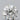 0.32ct Round Natural Diamond (Colour F, Clarity IF, Cut EX, GIA Certified)