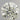 0.36ct Round Natural Diamond (Colour J, Clarity IF, Cut EX, IGI Certified)