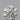 0.40ct Round Natural Diamond (Colour H, Clarity IF, Cut EX, IGI Certified)