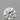 0.51ct Round Natural Diamond (Colour H, Clarity IF, Cut EX, IGI Certified)