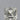 0.55ct Asscher Natural Diamond (Colour H, Clarity VVS2, Cut VG, IGI Certified)