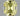 0.61ct Emerald Natural Diamond (Colour Fancy Intense Yellow, Clarity VS1, GIA Certified)