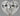 0.62ct Heart Natural Diamond (Colour H, Clarity VVS2, GIA Certified)