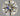 0.70ct Round Natural Diamond (Colour J, Clarity IF, Cut EX, IGI Certified)