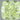 0.71ct Cushion brilliant Natural Diamond (Colour Fancy Light Green, Clarity SI1, GIA Certified)