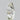 0.8 Carats OVAL Diamond