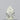 0.21ct Pear Natural Diamond (Colour I, Clarity VVS2, Cut VG, IGI Certified)