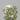 1.00ct Cushion brilliant Natural Diamond (Colour Fancy Green, Clarity SI1, GIA Certified)