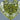 1.00ct Heart Natural Diamond (Colour Fancy Deep Yellow, Clarity SI2, GIA Certified)