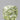 1.01ct Cushion brilliant Natural Diamond (Colour Fancy Light Green, Clarity SI1, GIA Certified)