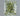 1.01ct Radiant Natural Diamond (Colour Fancy Green, Clarity SI1, GIA Certified)