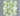 1.08ct Cushion brilliant Natural Diamond (Colour Fancy Light Green, Clarity SI2, GIA Certified)