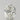 1.20ct Oval Natural Diamond (Colour H, Clarity SI2, Cut VG, IGI Certified)