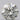 0.44ct Round Natural Diamond (Colour E, Clarity VVS1, Cut EX, IGI Certified)