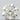0.41ct Round Natural Diamond (Colour I, Clarity IF, Cut EX, IGI Certified)