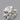 0.70ct Round Natural Diamond (Colour H, Clarity VVS2, Cut VG, IGI Certified)