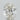 0.80ct Oval Natural Diamond (Colour H, Clarity SI2, Cut VG, IGI Certified)