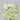 2.05ct Cushion brilliant Natural Diamond (Colour Fancy Light Green, Clarity IF, GIA Certified)