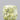 1.51ct Cushion modified Natural Diamond (Colour Fancy Light Yellow, Clarity VS1, GIA Certified)