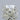 0.9 Carats CUSHION BRILLIANT Diamond