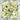 0.81 Carats RADIANT Diamond