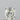 0.37ct Radiant Natural Diamond (Colour H, Clarity VVS2, Cut VG, IGI Certified)