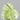 1.51ct Heart Natural Diamond (Colour Light Greenish Yellow, Clarity VS2, GIA Certified)