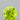 0.61ct Round Natural Diamond (Colour Fancy Intense Greenish Yellow, Clarity VS1, Cut VG, IGI Certified)