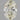 1.01 Carats OVAL Diamond